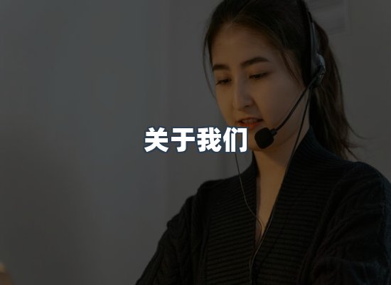 关于我们